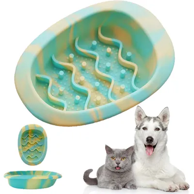 Gamelle colorée à alimentation lente pour chiens