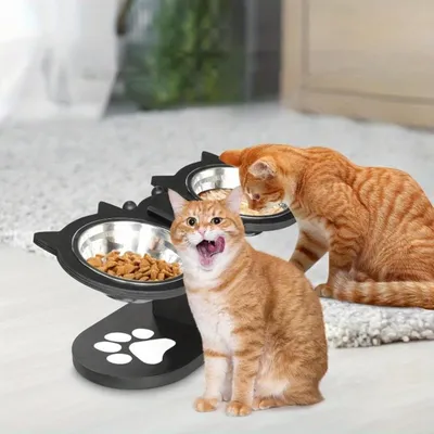 KPYTE Gamelle double inclinée pour chat