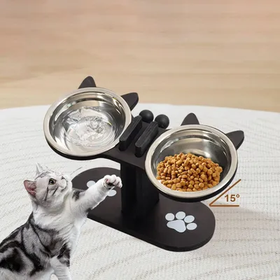 KPYTE Gamelle double inclinée pour chat