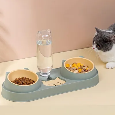 KPYTE Mangeoires et fontaines à eau pour chats et chiens