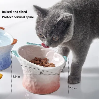 KPYTE Bol incliné en céramique pour chat