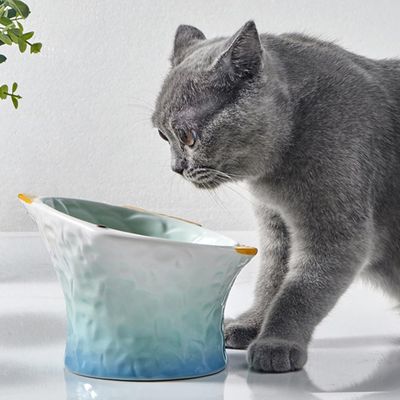 KPYTE Bol incliné en céramique pour chat