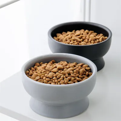 UAMLY Gamelle surélevée en céramique pour chat