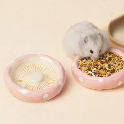 Bol pour hamster en forme de tête de champignon