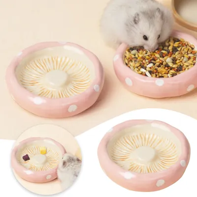 Bol pour hamster en forme de tête de champignon
