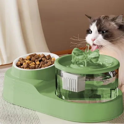 Distributeur d'eau pour chat 2 en 1