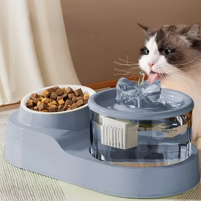 Distributeur d'eau pour chat 2 en 1