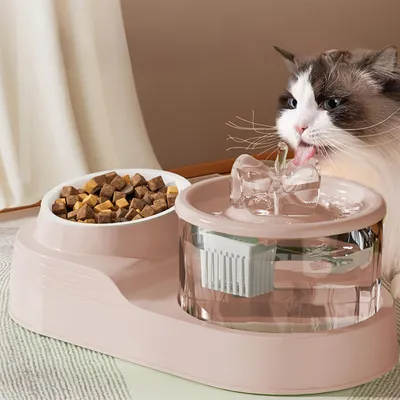 Distributeur d'eau pour chat 2 en 1
