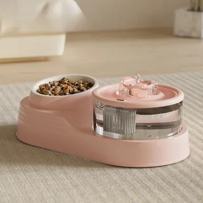 Distributeur d'eau pour chat 2 en 1