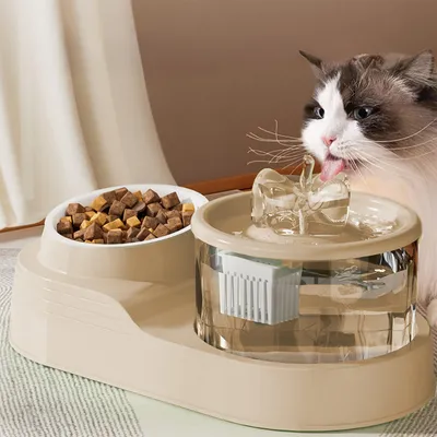 Distributeur d'eau pour chat 2 en 1