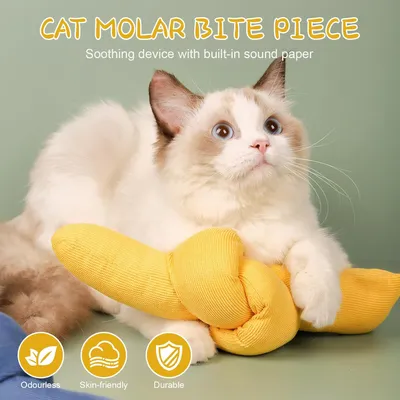 KPYTE Jouets d'auto-divertissement pour chats