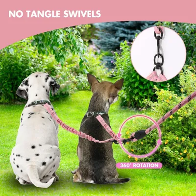 Reitlaze Laisse rétractable double pour chien