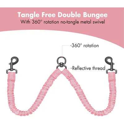 Reitlaze Laisse rétractable double pour chien