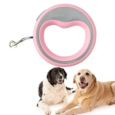 Laisse rétractable pour chien de 2,5 m, laisse de marche à 360°