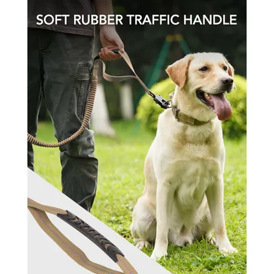 Reitlaze Bungee Laisse de Chien réfléchissante