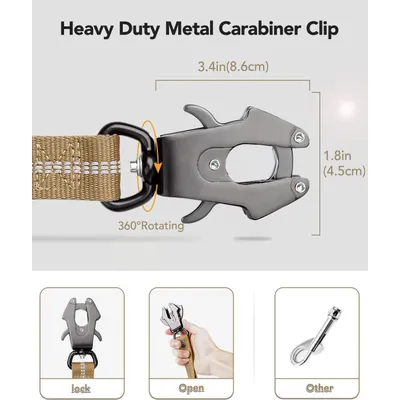 Reitlaze Bungee Laisse de Chien réfléchissante