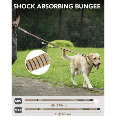 Reitlaze Bungee Laisse de Chien réfléchissante