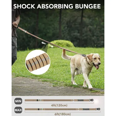 Reitlaze Bungee Laisse de Chien réfléchissante