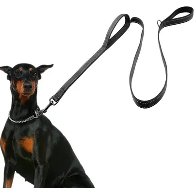 Reitlaze Laisse Corde pour Chien avec Poignée Rembourrée Douce