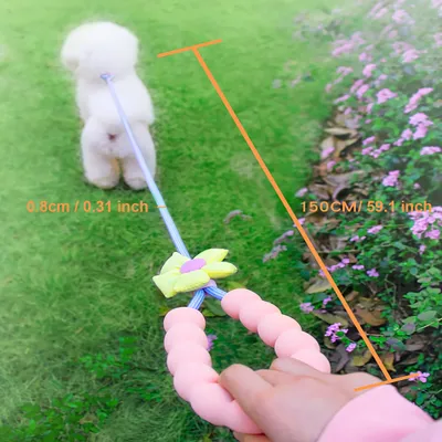 Laisse coulissante pour l'éducation canine, corde en P