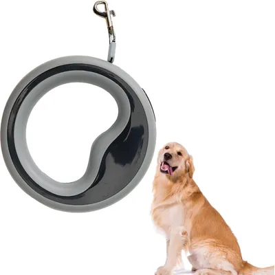 Laisse rétractable pour chien de 2,5 m, laisse de marche à 360° Laisse rétractable pour chien de 2,5 m, laisse de marche à 360°