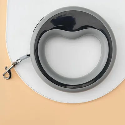 Laisse rétractable pour chien de 2,5 m, laisse de marche à 360° Laisse rétractable pour chien de 2,5 m, laisse de marche à 360°
