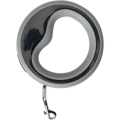 Laisse rétractable pour chien de 2,5 m, laisse de marche à 360° Laisse rétractable pour chien de 2,5 m, laisse de marche à 360°