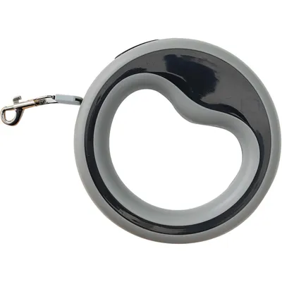 Laisse rétractable pour chien de 2,5 m, laisse de marche à 360° Laisse rétractable pour chien de 2,5 m, laisse de marche à 360°