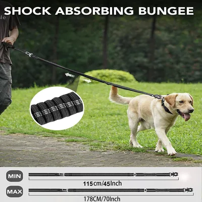 Reitlaze Bungee Laisse de Chien réfléchissante