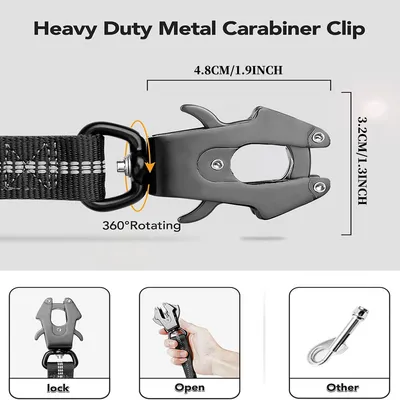 Reitlaze Bungee Laisse de Chien réfléchissante