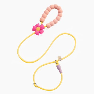 Laisse coulissante pour l'éducation canine, corde en P