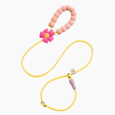 Laisse coulissante pour l'éducation canine, corde en P