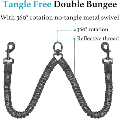 Reitlaze Laisse rétractable double pour chien