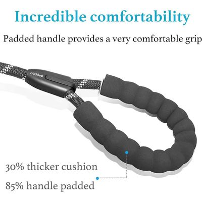 Reitlaze Laisse rétractable double pour chien