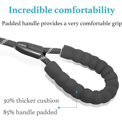 Reitlaze Laisse rétractable double pour chien