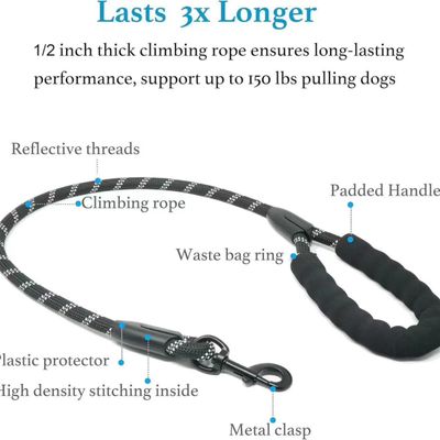 Reitlaze Laisse rétractable double pour chien