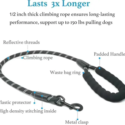 Reitlaze Laisse rétractable double pour chien