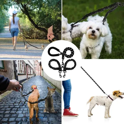 Reitlaze Laisse rétractable double pour chien