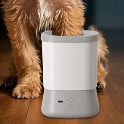 Lave-pattes de chien