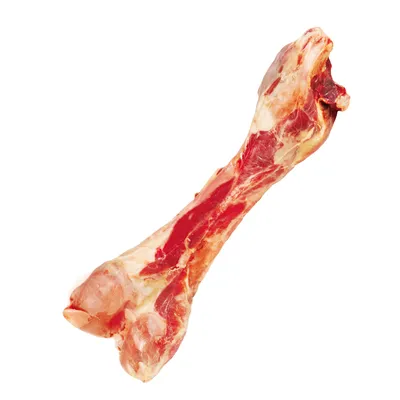 Record Os pour chiens - Os de jambon