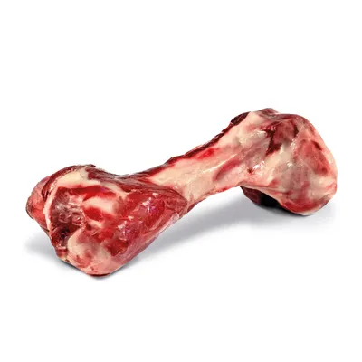 Record Os pour chiens - Os de jambon