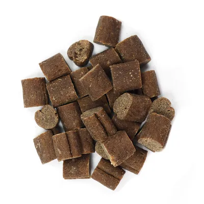 Record - Snacks Naturels pour Chiens "Proteinsect"