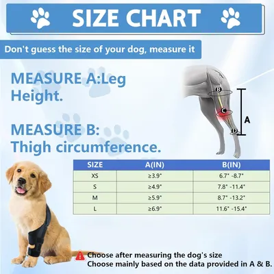 Qinhul Genouillères pour pattes arrières de chien