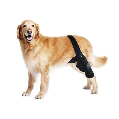 Qinhul Genouillères pour pattes arrières de chien