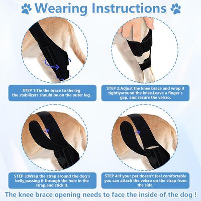 Qinhul Genouillères pour pattes arrières de chien
