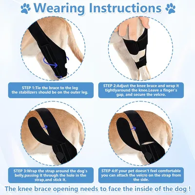 Qinhul Genouillères pour pattes arrières de chien