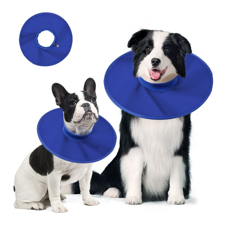 Reitlaze Schutzhalsband für Hunde
