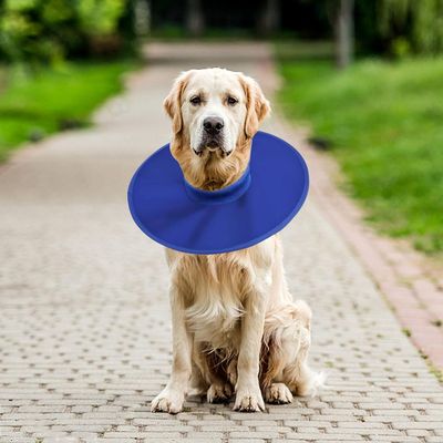 Reitlaze Collier de protection pour chien