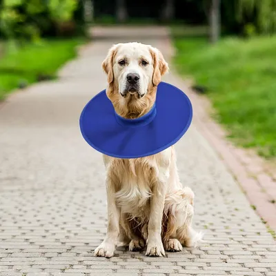 Reitlaze Collier de protection pour chien