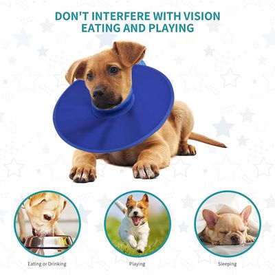 Reitlaze Collier de protection pour chien